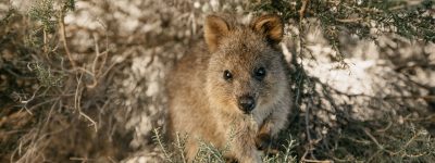 Contact Destination Management Perth